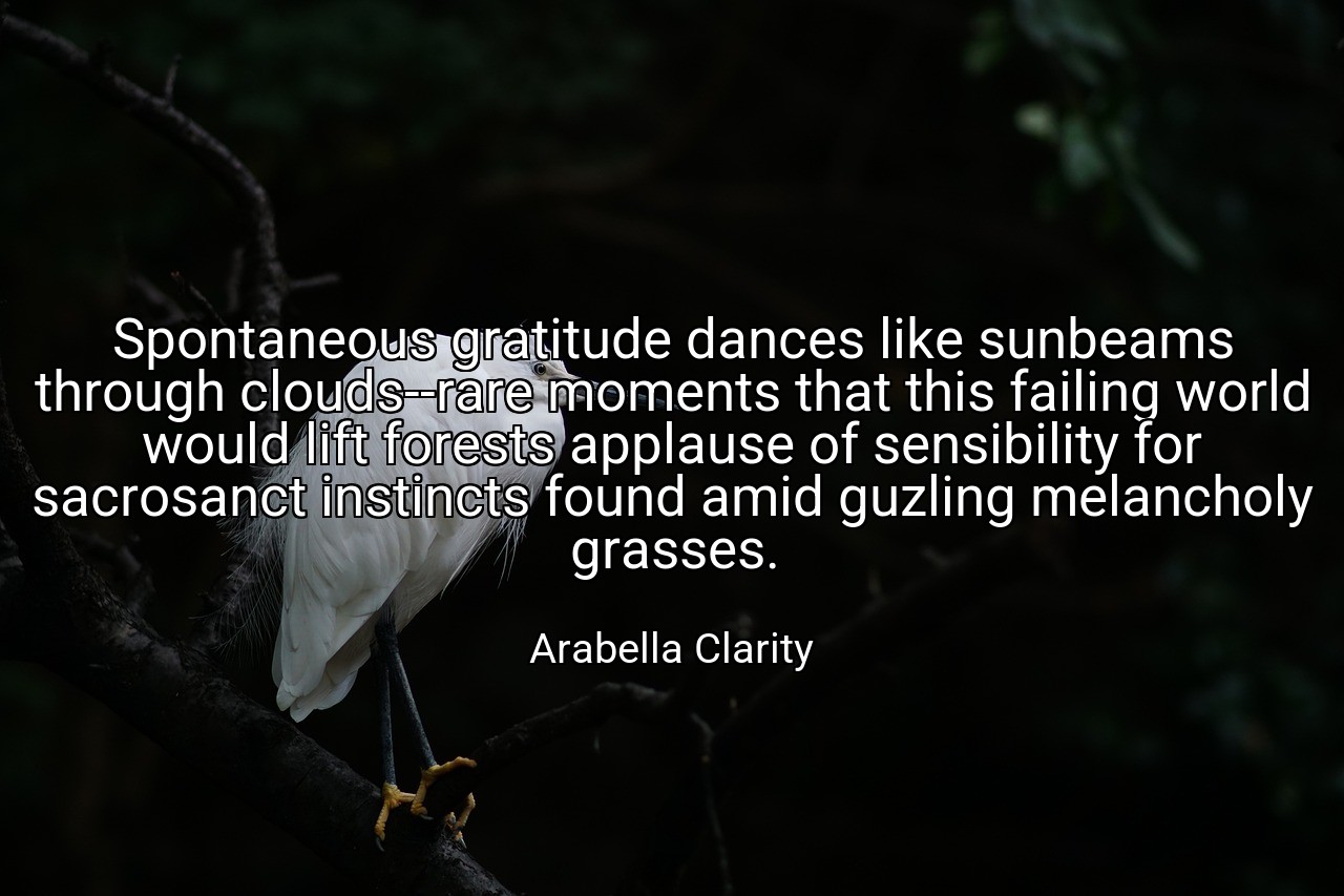 Spontaneous gratitude dances like sunbeams through clouds--rare moments that this failing world would lift forests applause of sensibility for sacrosanct instincts found amid guzling melancholy grasses. - Arabella Clarity
