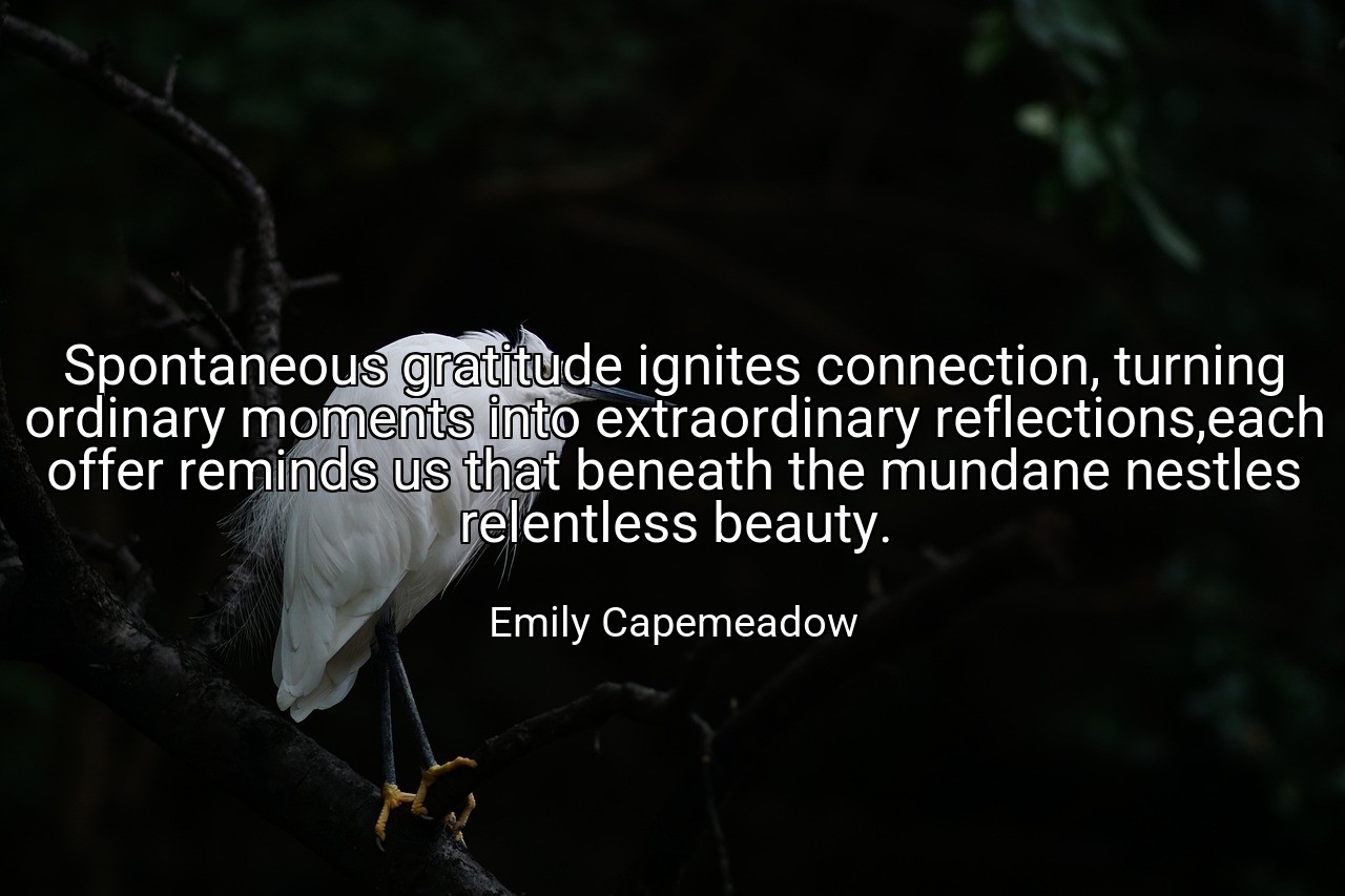 Spontaneous gratitude ignites connection, turning ordinary moments into extraordinary reflections,each offer reminds us that beneath the mundane nestles relentless beauty. - Emily Capemeadow