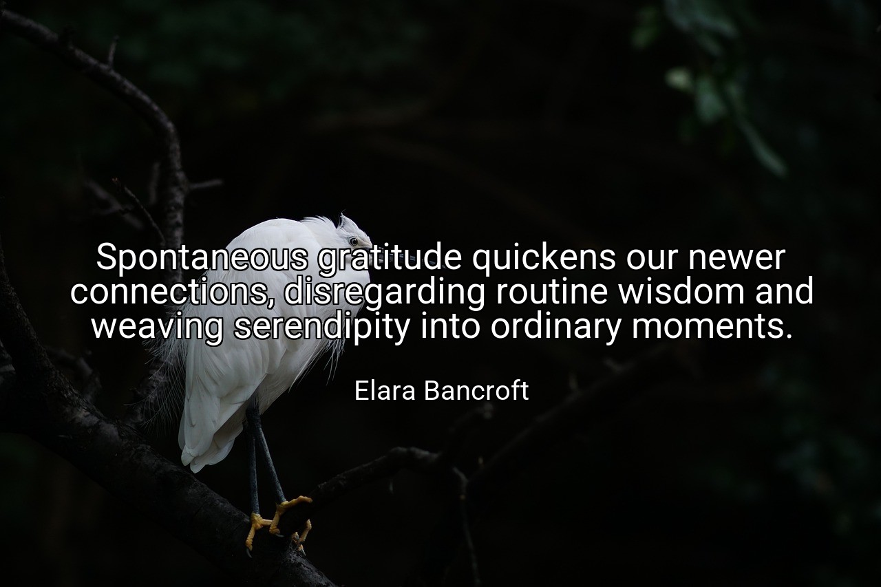 Spontaneous gratitude quickens our newer connections, disregarding routine wisdom and weaving serendipity into ordinary moments. - Elara Bancroft