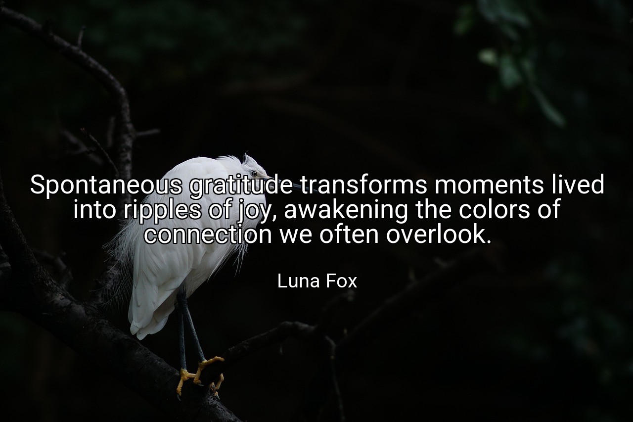 Spontaneous gratitude transforms moments lived into ripples of joy, awakening the colors of connection we often overlook. - Luna Fox