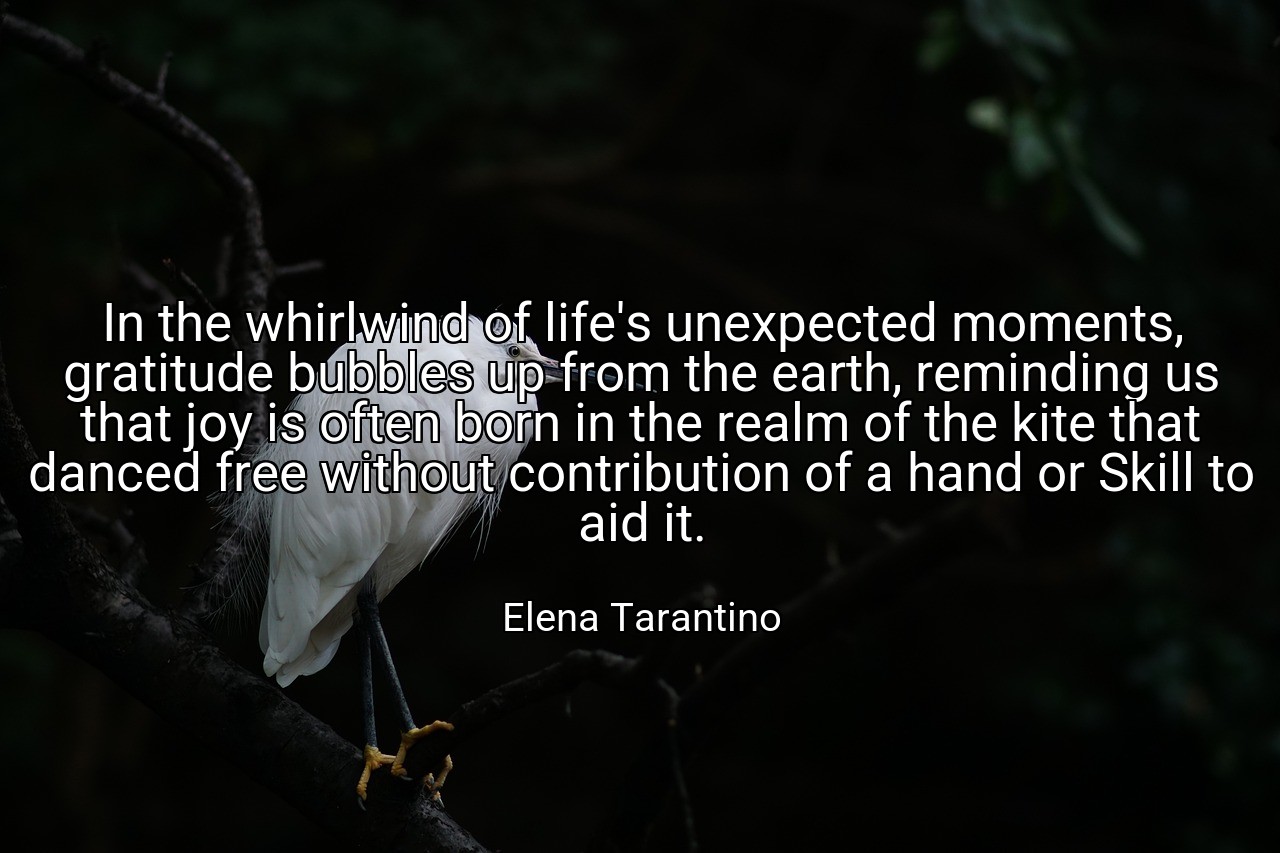 In the whirlwind of life's unexpected moments, gratitude bubbles up from the earth, reminding us that joy is often born in the realm of the kite that danced free without contribution of a hand or Skill to aid it. - Elena Tarantino