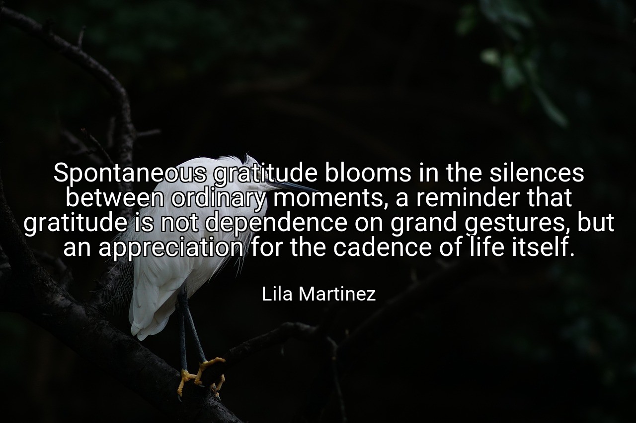 Spontaneous gratitude blooms in the silences between ordinary moments, a reminder that gratitude is not dependence on grand gestures, but an appreciation for the cadence of life itself. - Lila Martinez