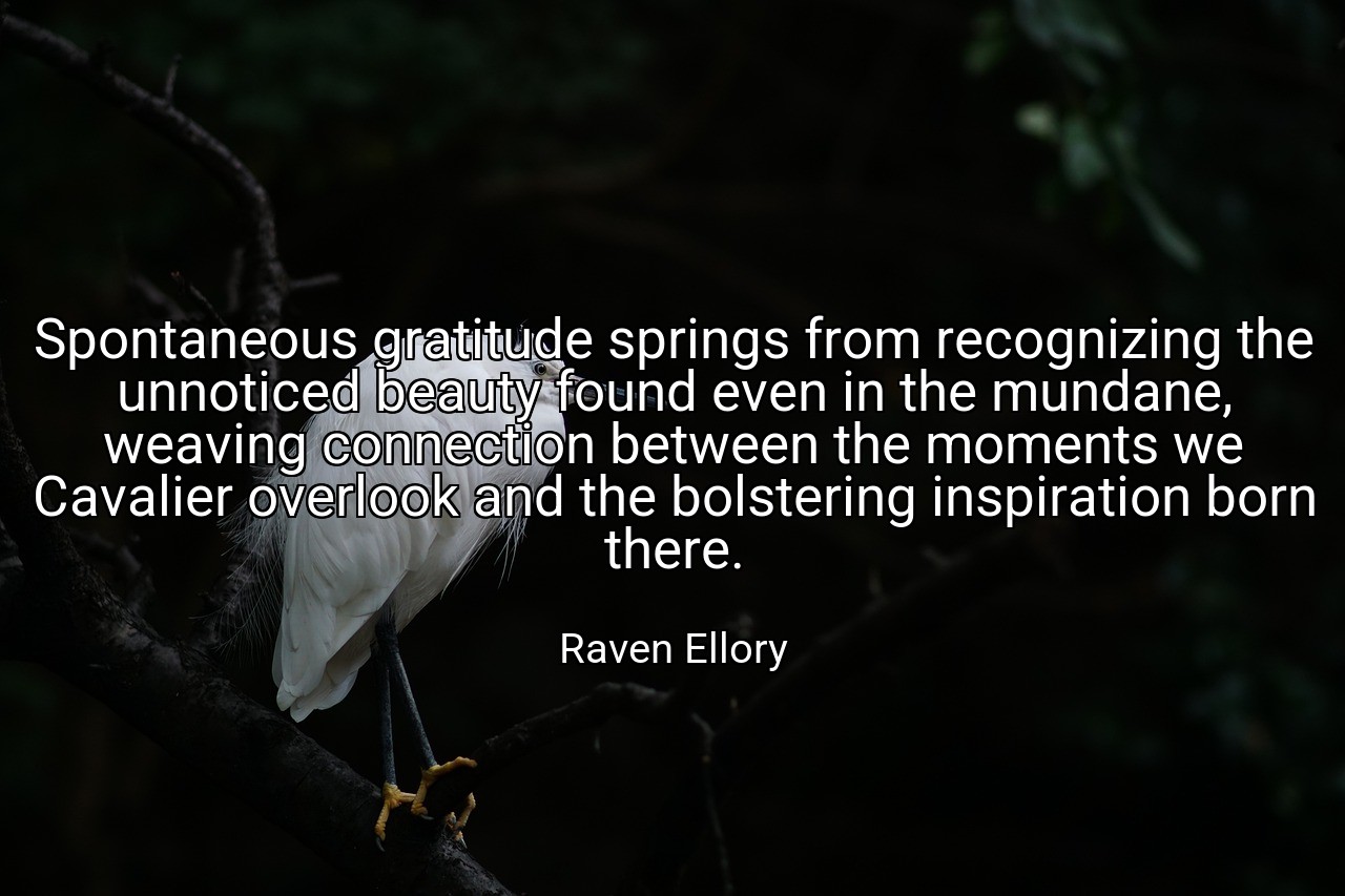Spontaneous gratitude springs from recognizing the unnoticed beauty found even in the mundane, weaving connection between the moments we Cavalier overlook and the bolstering inspiration born there. - Raven Ellory