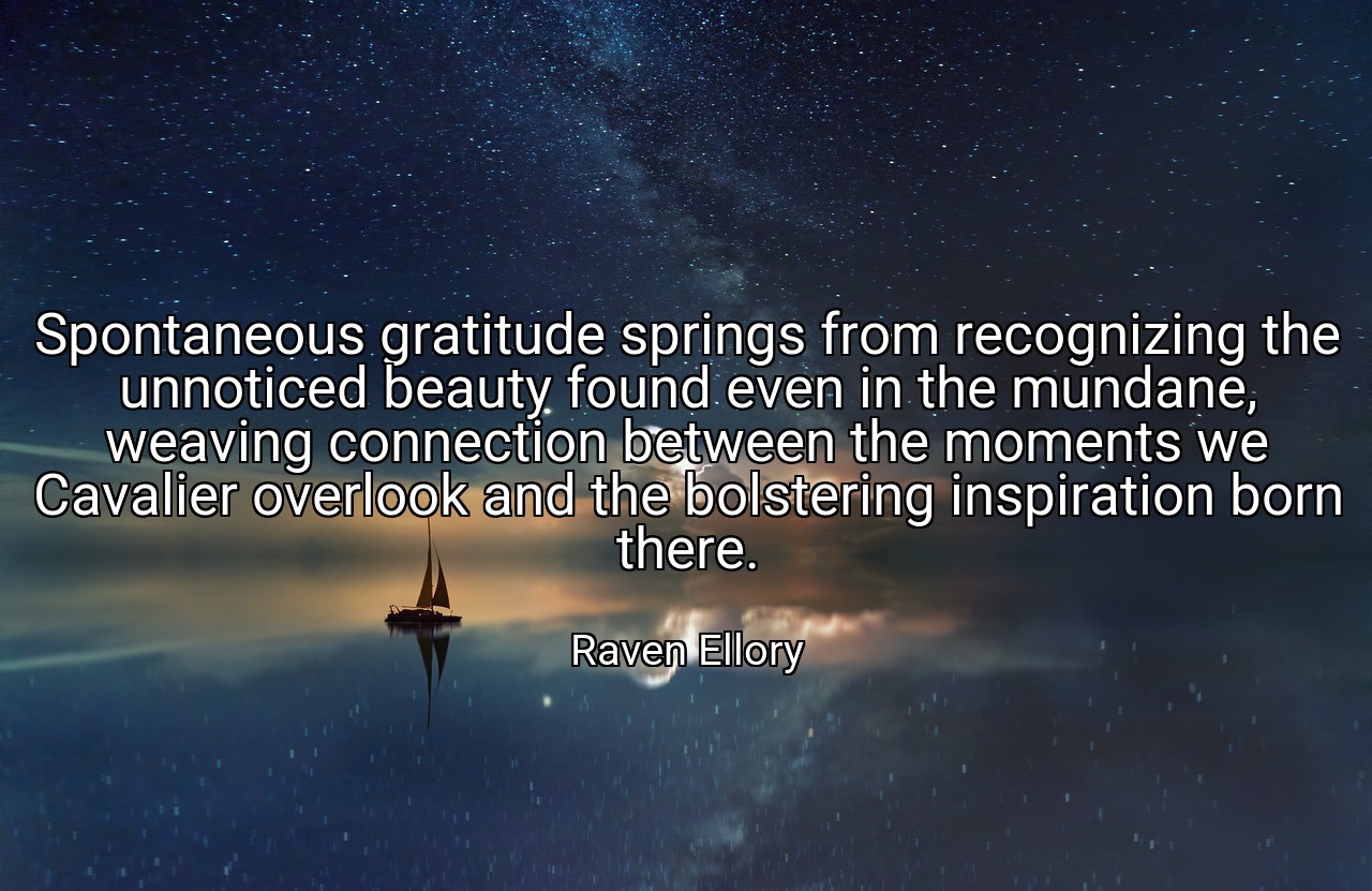 Spontaneous gratitude springs from recognizing the unnoticed beauty found even in the mundane, weaving connection between the moments we Cavalier overlook and the bolstering inspiration born there. - Raven Ellory