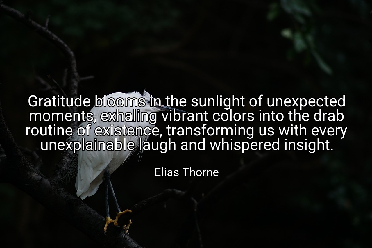 Gratitude blooms in the sunlight of unexpected moments, exhaling vibrant colors into the drab routine of existence, transforming us with every unexplainable laugh and whispered insight. - Elias Thorne