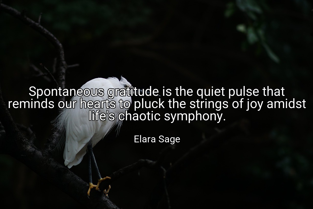 Spontaneous gratitude is the quiet pulse that reminds our hearts to pluck the strings of joy amidst life's chaotic symphony. - Elara Sage