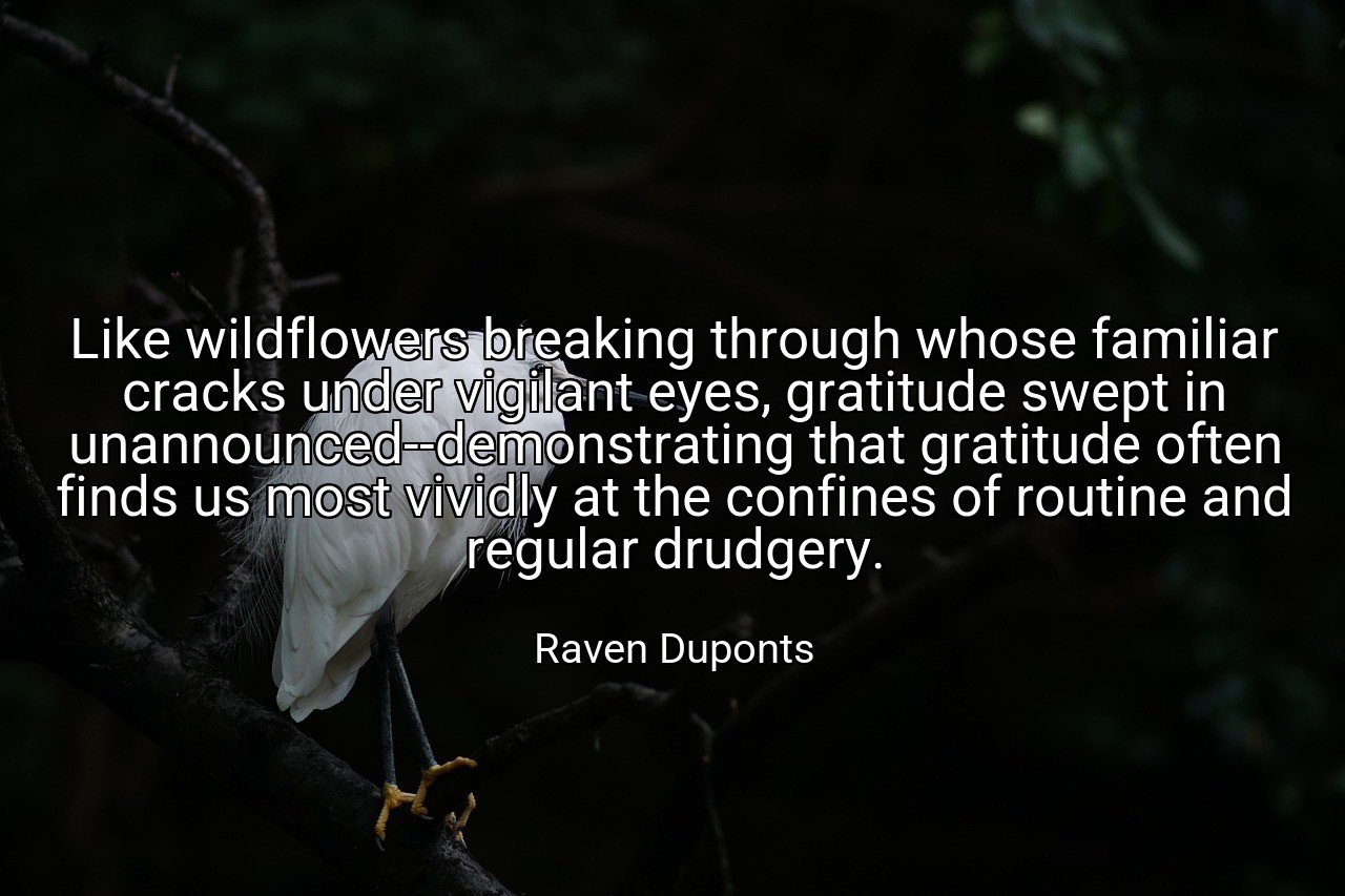 Like wildflowers breaking through whose familiar cracks under vigilant eyes, gratitude swept in unannounced--demonstrating that gratitude often finds us most vividly at the confines of routine and regular drudgery. - Raven Duponts