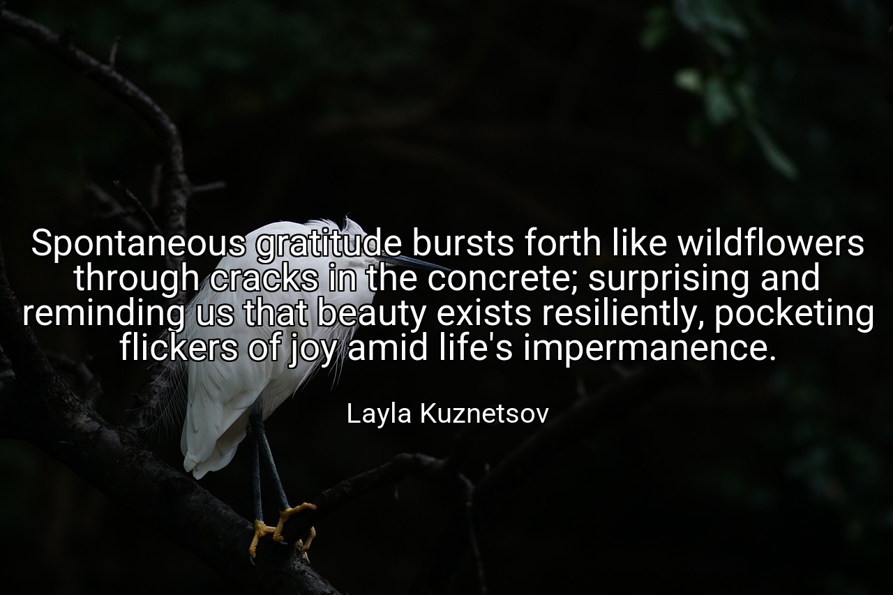 Spontaneous gratitude bursts forth like wildflowers through cracks in the concrete; surprising and reminding us that beauty exists resiliently, pocketing flickers of joy amid life's impermanence. - Layla Kuznetsov