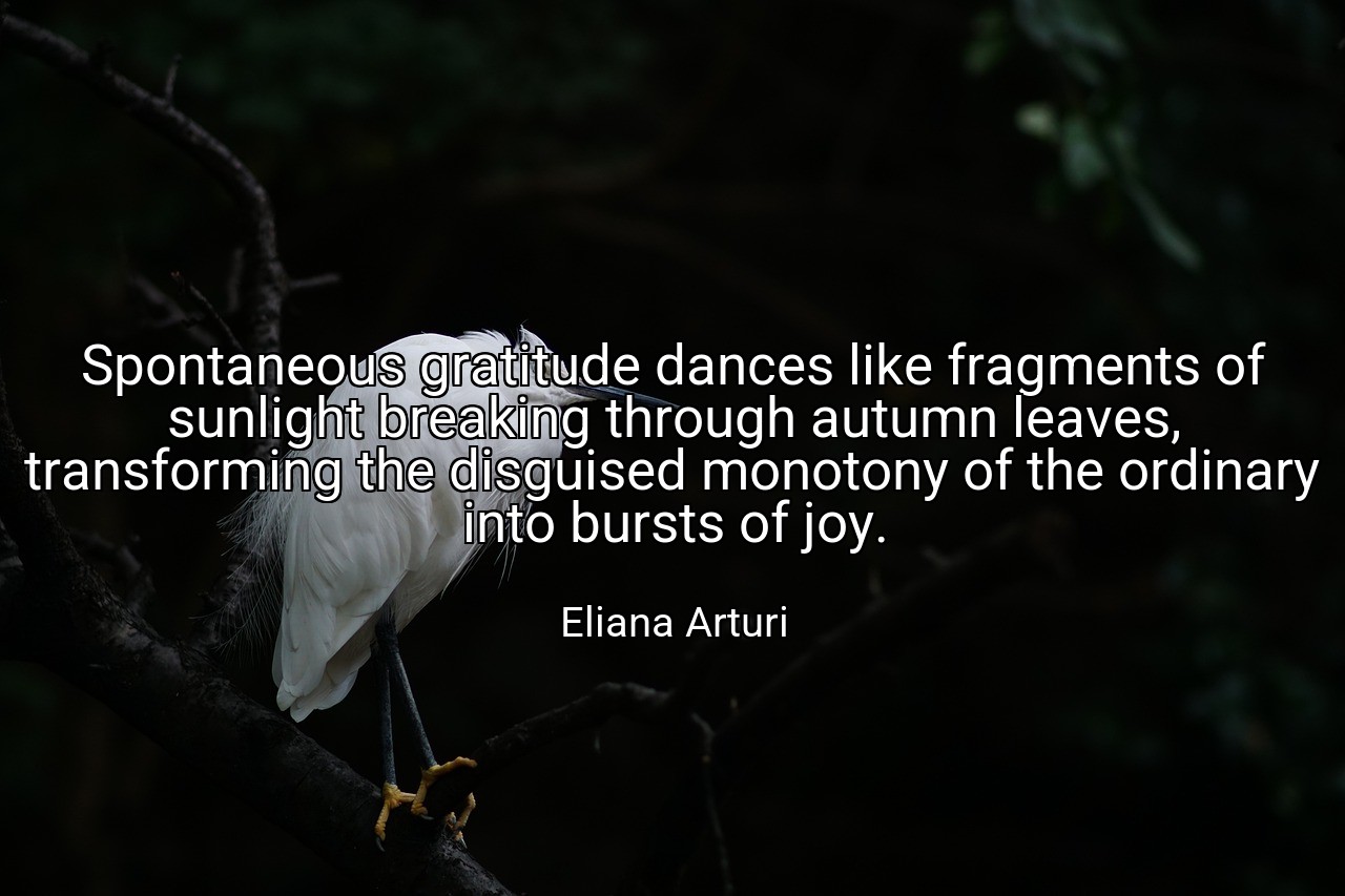 Spontaneous gratitude dances like fragments of sunlight breaking through autumn leaves, transforming the disguised monotony of the ordinary into bursts of joy. - Eliana Arturi