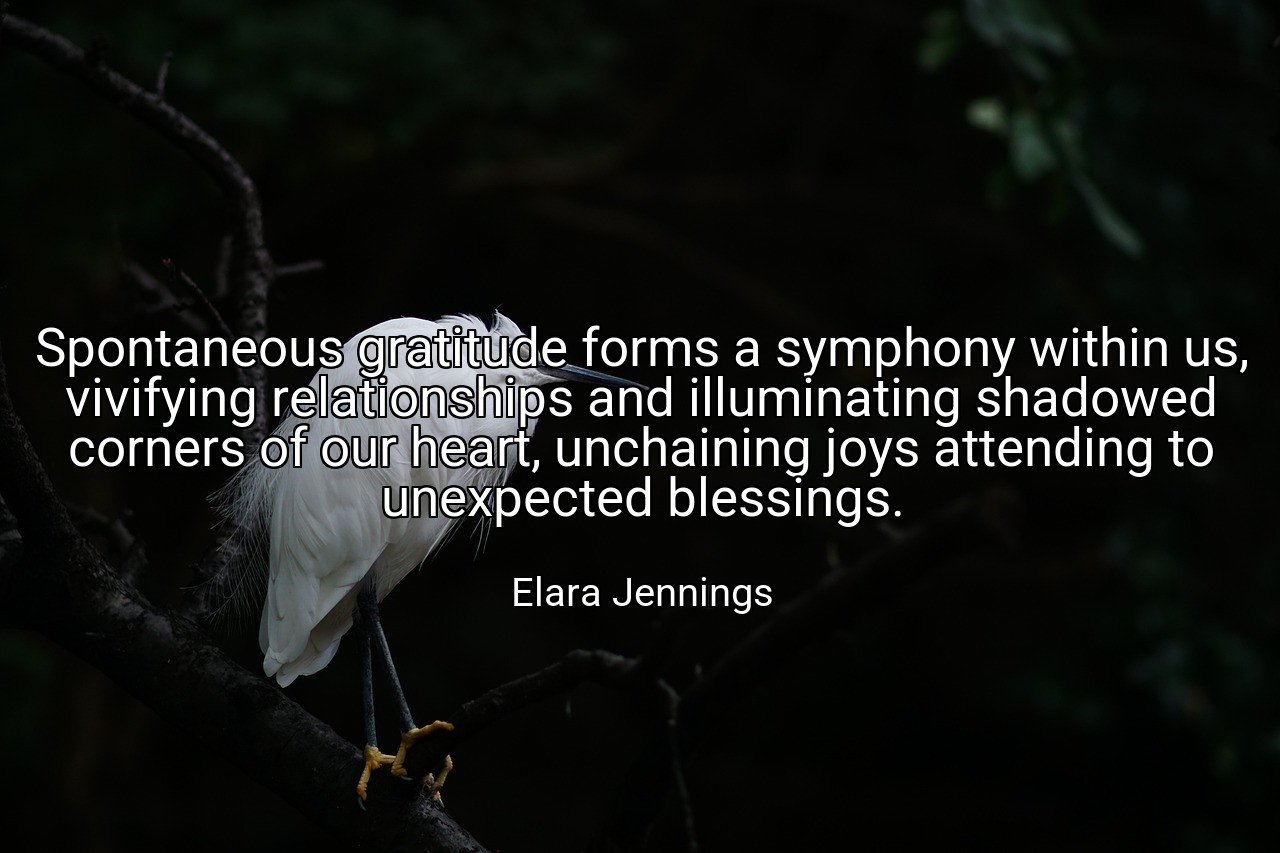 Spontaneous gratitude forms a symphony within us, vivifying relationships and illuminating shadowed corners of our heart, unchaining joys attending to unexpected blessings. - Elara Jennings