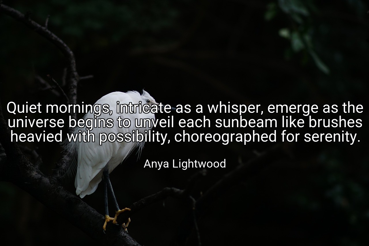 Quiet mornings, intricate as a whisper, emerge as the universe begins to unveil each sunbeam like brushes heavied with possibility, choreographed for serenity. - Anya Lightwood