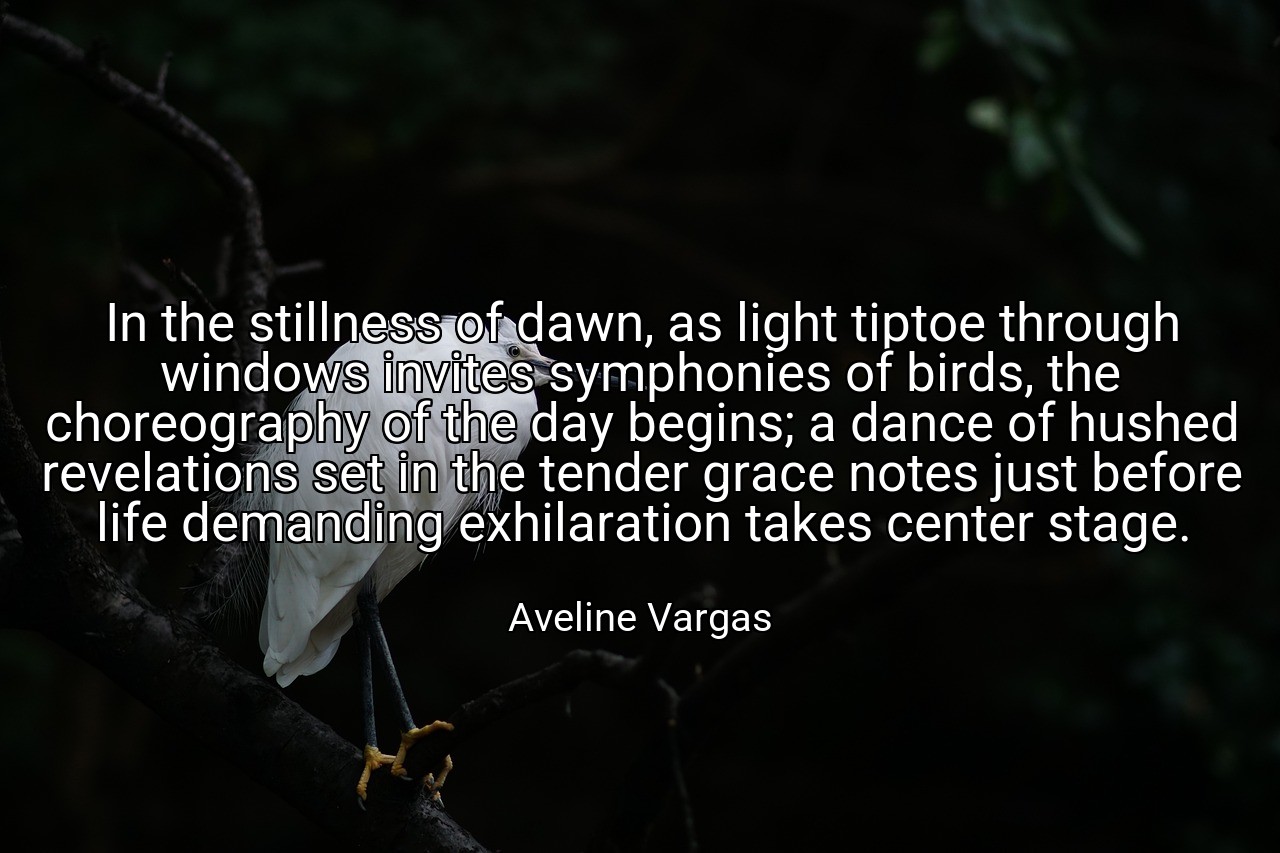 In the stillness of dawn, as light tiptoe through windows invites symphonies of birds, the choreography of the day begins; a dance of hushed revelations set in the tender grace notes just before life demanding exhilaration takes center stage. - Aveline Vargas
