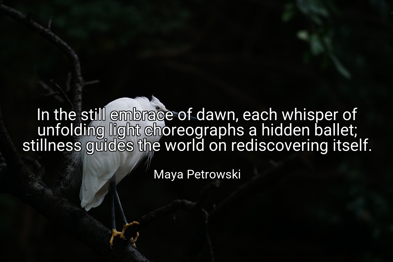In the still embrace of dawn, each whisper of unfolding light choreographs a hidden ballet; stillness guides the world on rediscovering itself. - Maya Petrowski