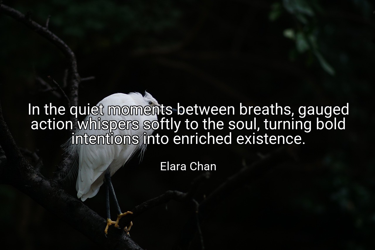In the quiet moments between breaths, gauged action whispers softly to the soul, turning bold intentions into enriched existence. - Elara Chan
