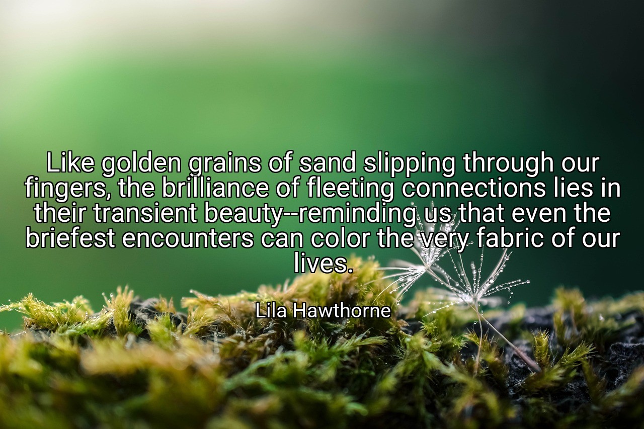 Like golden grains of sand slipping through our fingers, the brilliance of fleeting connections lies in their transient beauty--reminding us that even the briefest encounters can color the very fabric of our lives. - Lila Hawthorne