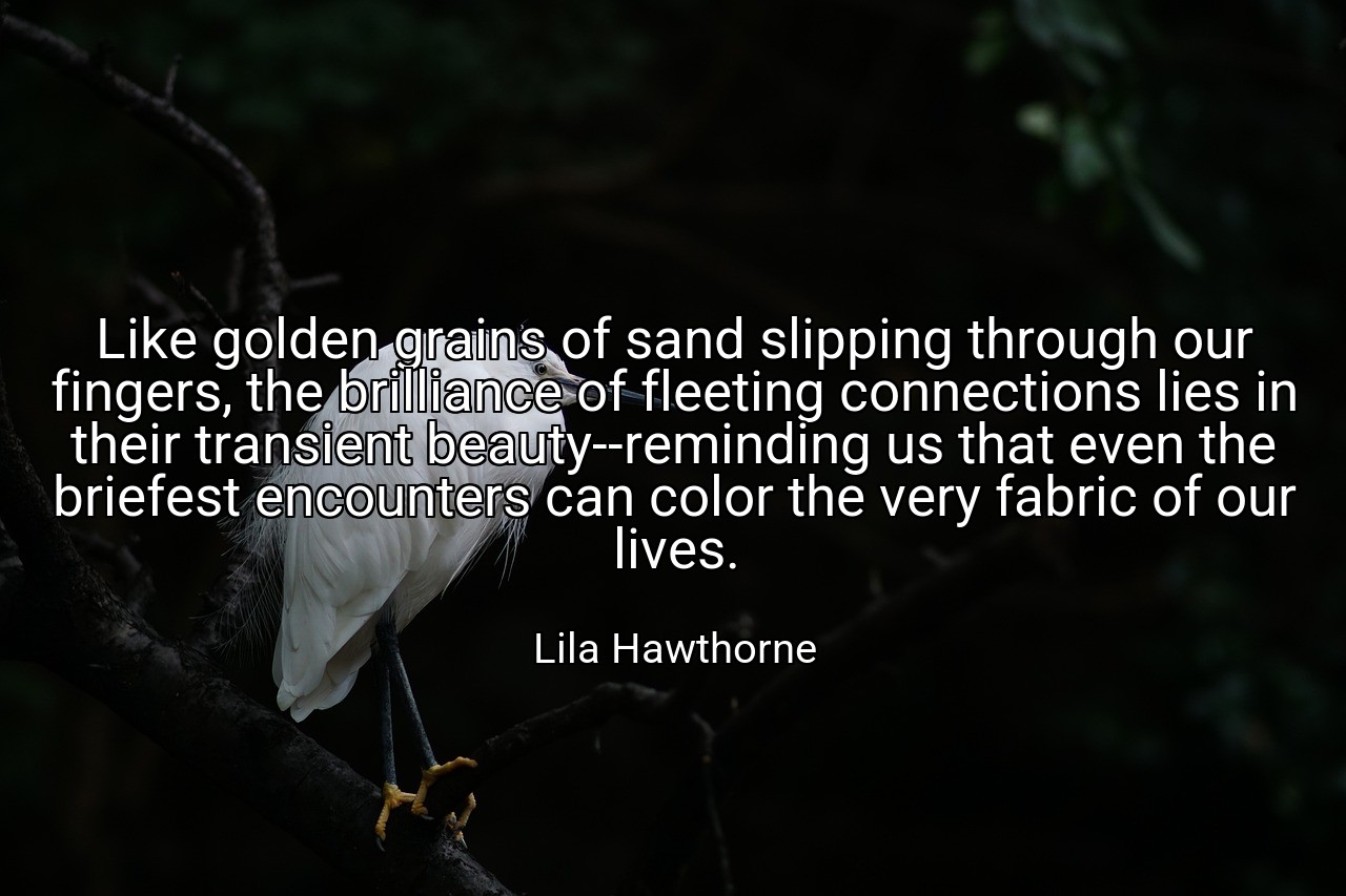 Like golden grains of sand slipping through our fingers, the brilliance of fleeting connections lies in their transient beauty--reminding us that even the briefest encounters can color the very fabric of our lives. - Lila Hawthorne