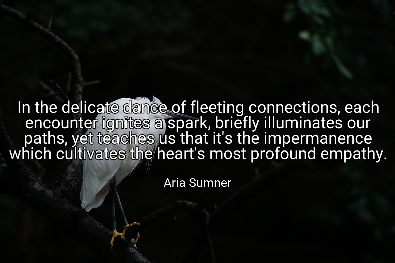 In the delicate dance of fleeting connections, each encounter ignites a spark, briefly illuminates our paths, yet teaches us that it's the impermanence which cultivates the heart's most profound empathy. - Aria Sumner