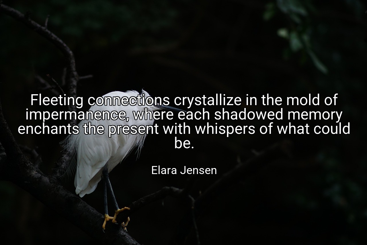 Fleeting connections crystallize in the mold of impermanence, where each shadowed memory enchants the present with whispers of what could be. - Elara Jensen
