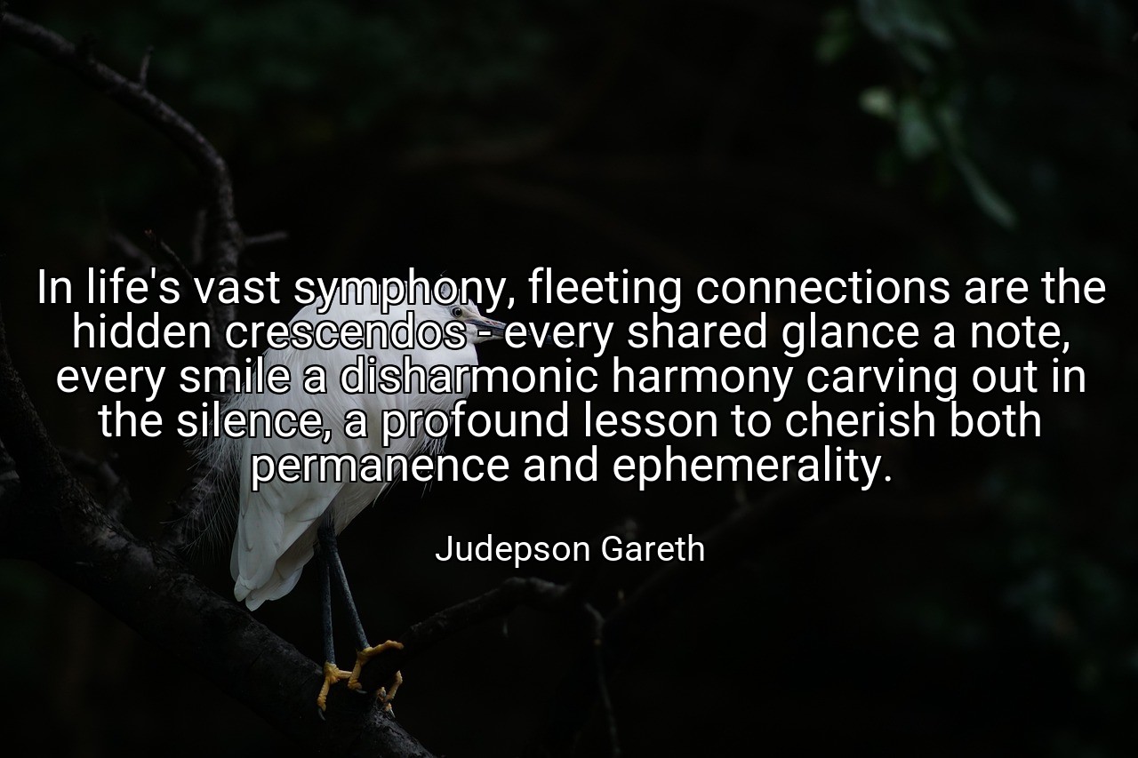 In life's vast symphony, fleeting connections are the hidden crescendos - every shared glance a note, every smile a disharmonic harmony carving out in the silence, a profound lesson to cherish both permanence and ephemerality. - Judepson Gareth