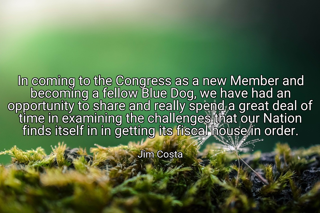 In coming to the Congress as a new Member and becoming a fellow Blue Dog, we have had an opportunity to share and really spend a great deal of time in examining the challenges that our Nation finds itself in in getting its fiscal house in order. - Jim Costa