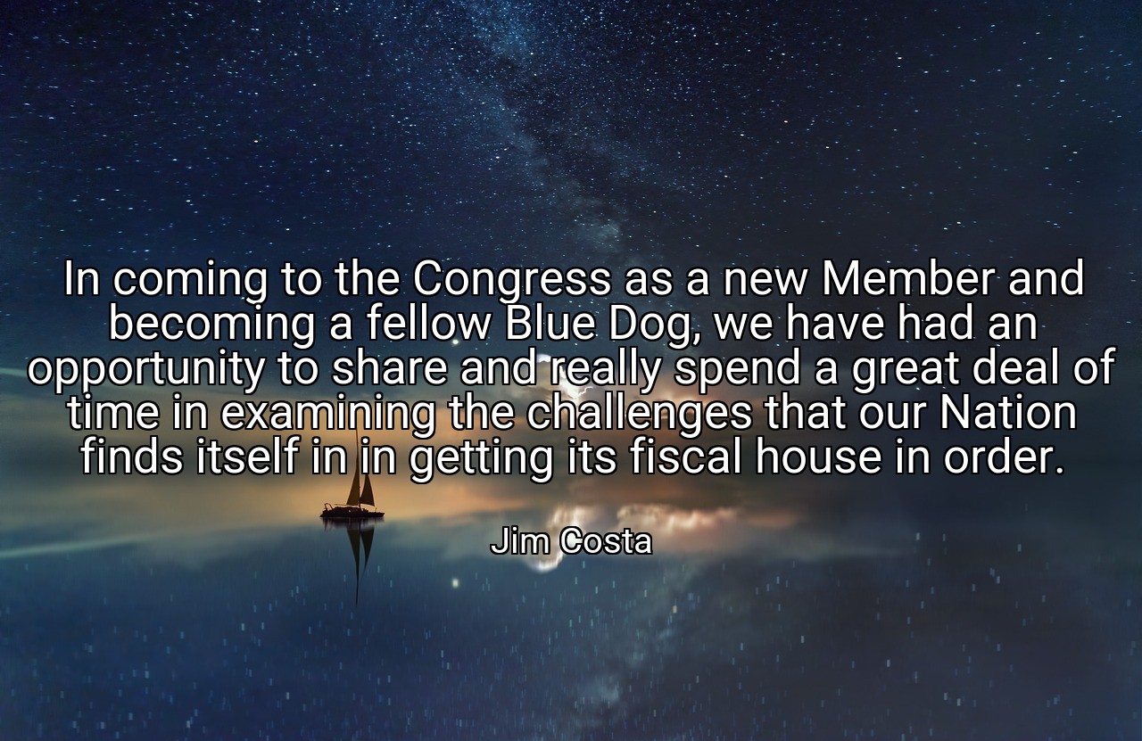 In coming to the Congress as a new Member and becoming a fellow Blue Dog, we have had an opportunity to share and really spend a great deal of time in examining the challenges that our Nation finds itself in in getting its fiscal house in order. - Jim Costa