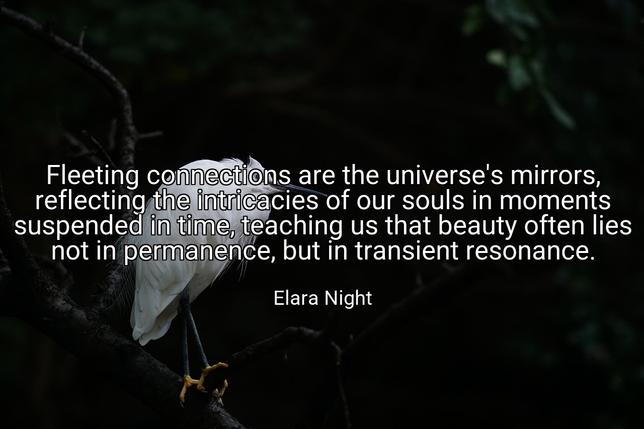 Fleeting connections are the universe's mirrors, reflecting the intricacies of our souls in moments suspended in time, teaching us that beauty often lies not in permanence, but in transient resonance. - Elara Night