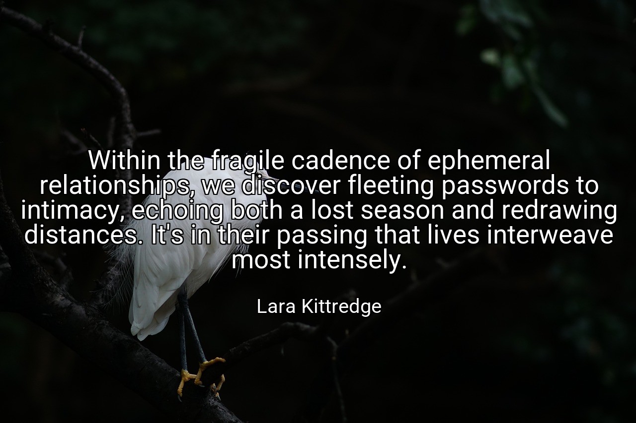 Within the fragile cadence of ephemeral relationships, we discover fleeting passwords to intimacy, echoing both a lost season and redrawing distances. It's in their passing that lives interweave most intensely. - Lara Kittredge