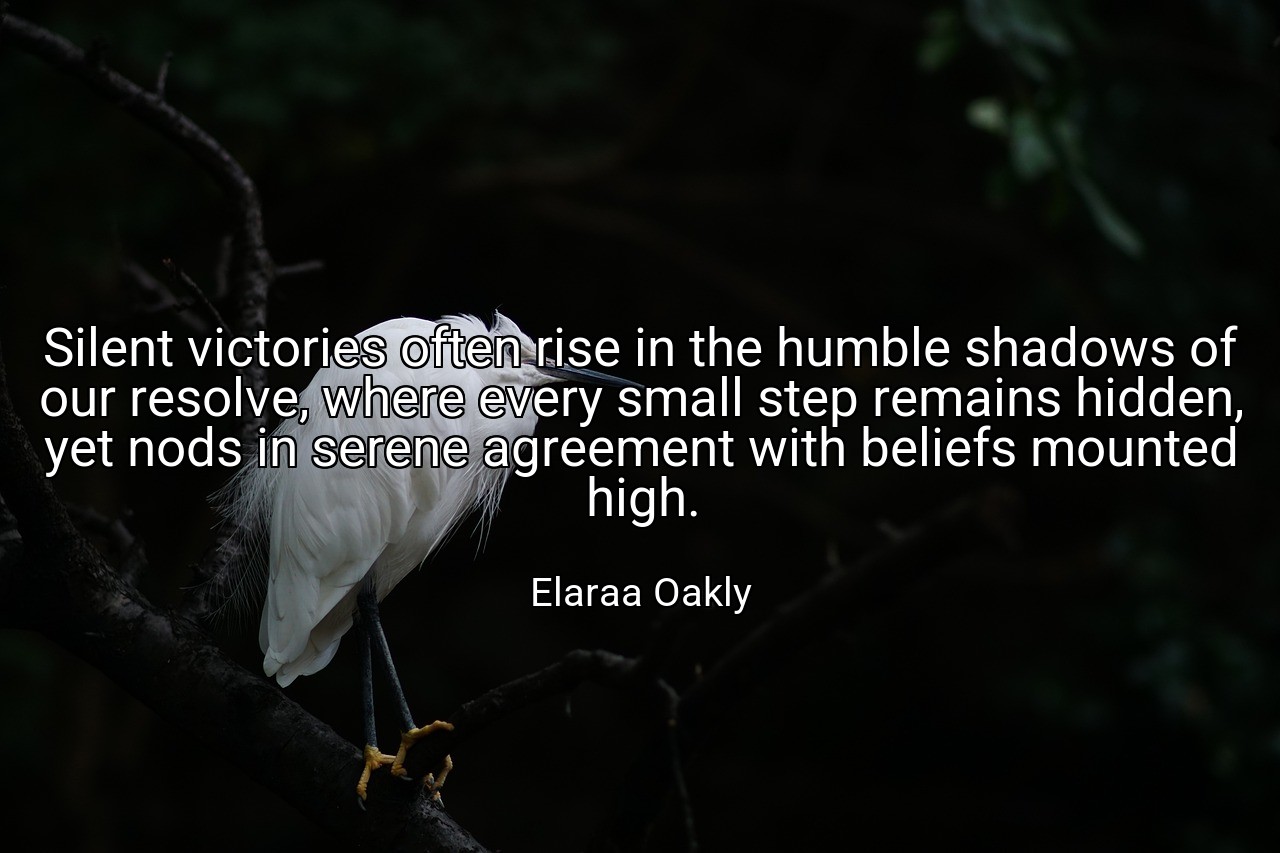 Silent victories often rise in the humble shadows of our resolve, where every small step remains hidden, yet nods in serene agreement with beliefs mounted high. - Elaraa Oakly