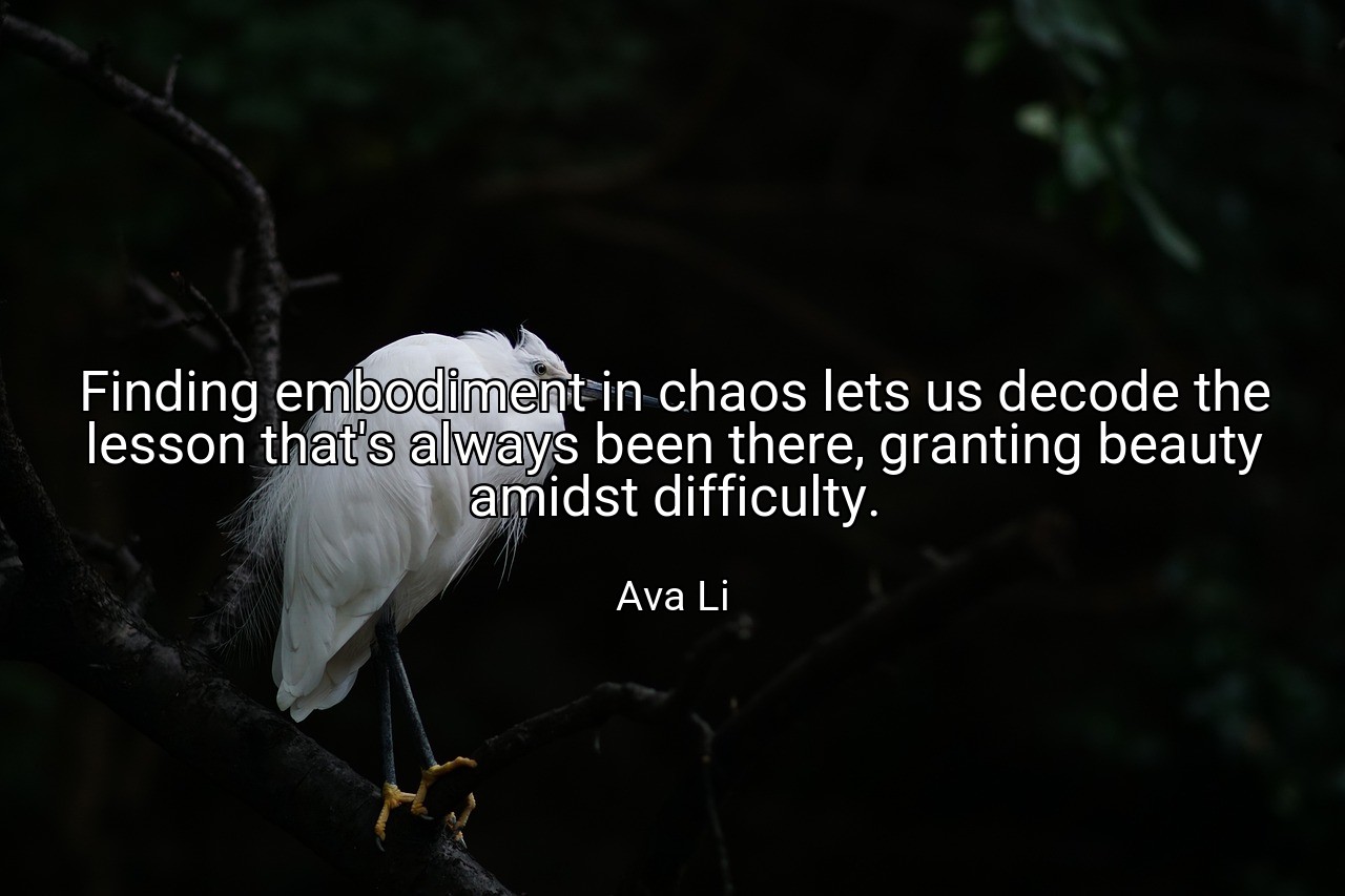 Finding embodiment in chaos lets us decode the lesson that's always been there, granting beauty amidst difficulty. - Ava Li