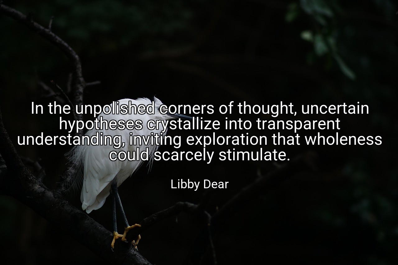 In the unpolished corners of thought, uncertain hypotheses crystallize into transparent understanding, inviting exploration that wholeness could scarcely stimulate. - Libby Dear