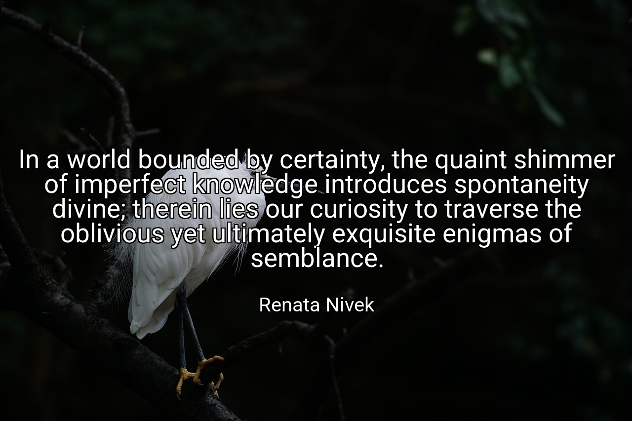 In a world bounded by certainty, the quaint shimmer of imperfect knowledge introduces spontaneity divine; therein lies our curiosity to traverse the oblivious yet ultimately exquisite enigmas of semblance. - Renata Nivek