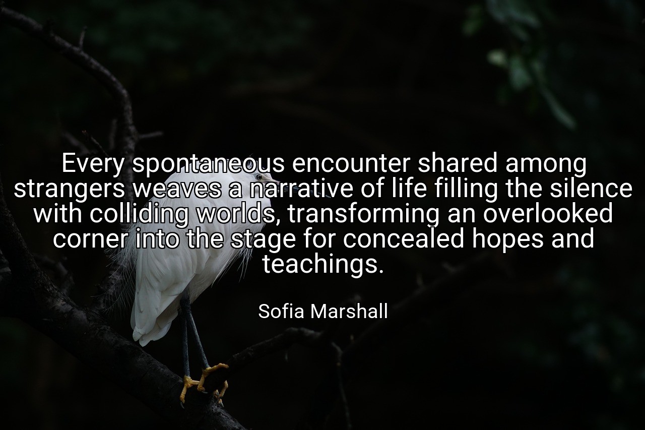 Every spontaneous encounter shared among strangers weaves a narrative of life filling the silence with colliding worlds, transforming an overlooked corner into the stage for concealed hopes and teachings. - Sofia Marshall