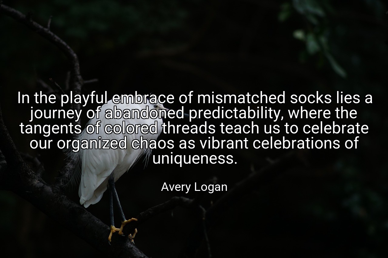 In the playful embrace of mismatched socks lies a journey of abandoned predictability, where the tangents of colored threads teach us to celebrate our organized chaos as vibrant celebrations of uniqueness. - Avery Logan