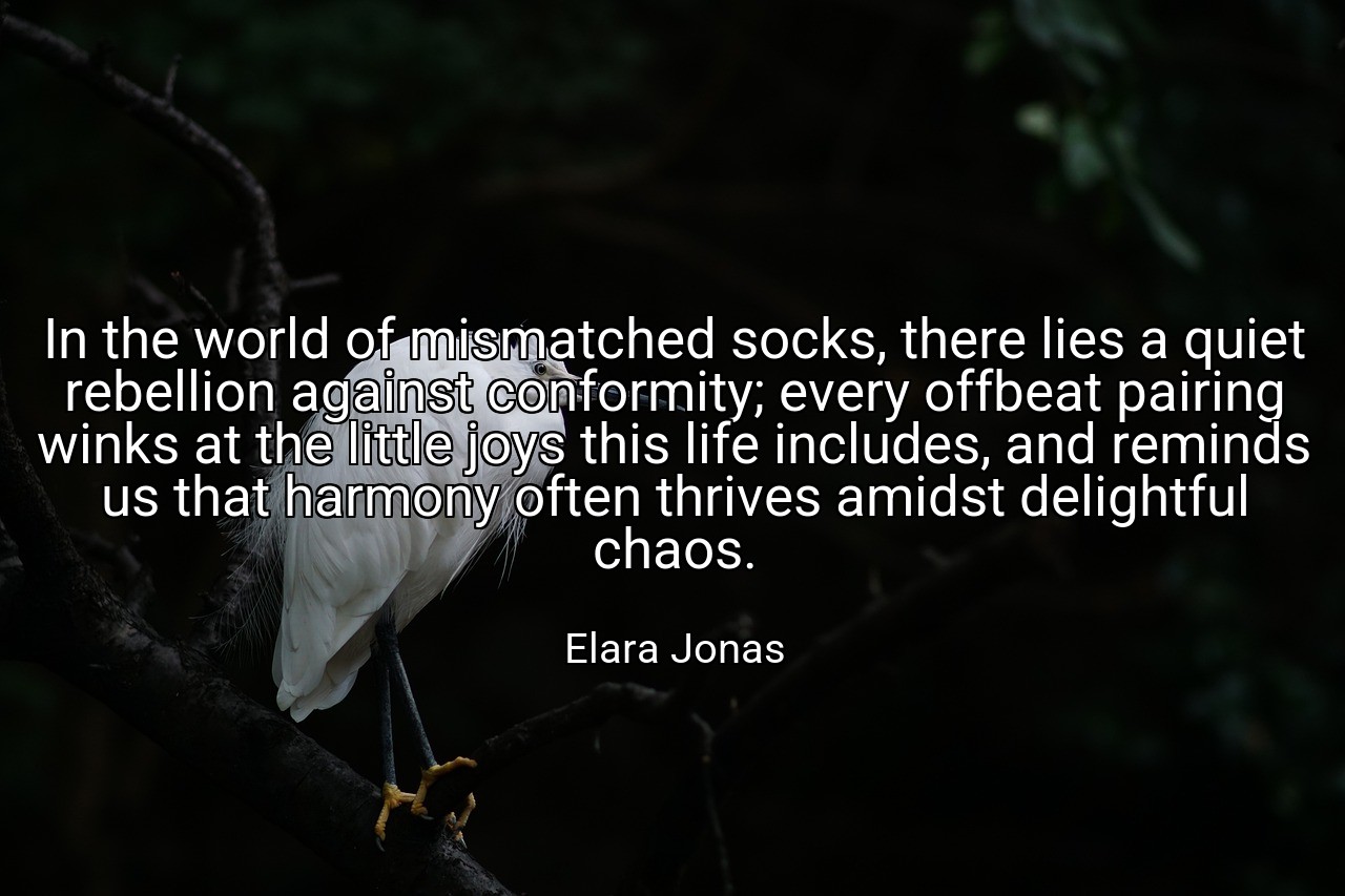 In the world of mismatched socks, there lies a quiet rebellion against conformity; every offbeat pairing winks at the little joys this life includes, and reminds us that harmony often thrives amidst delightful chaos. - Elara Jonas