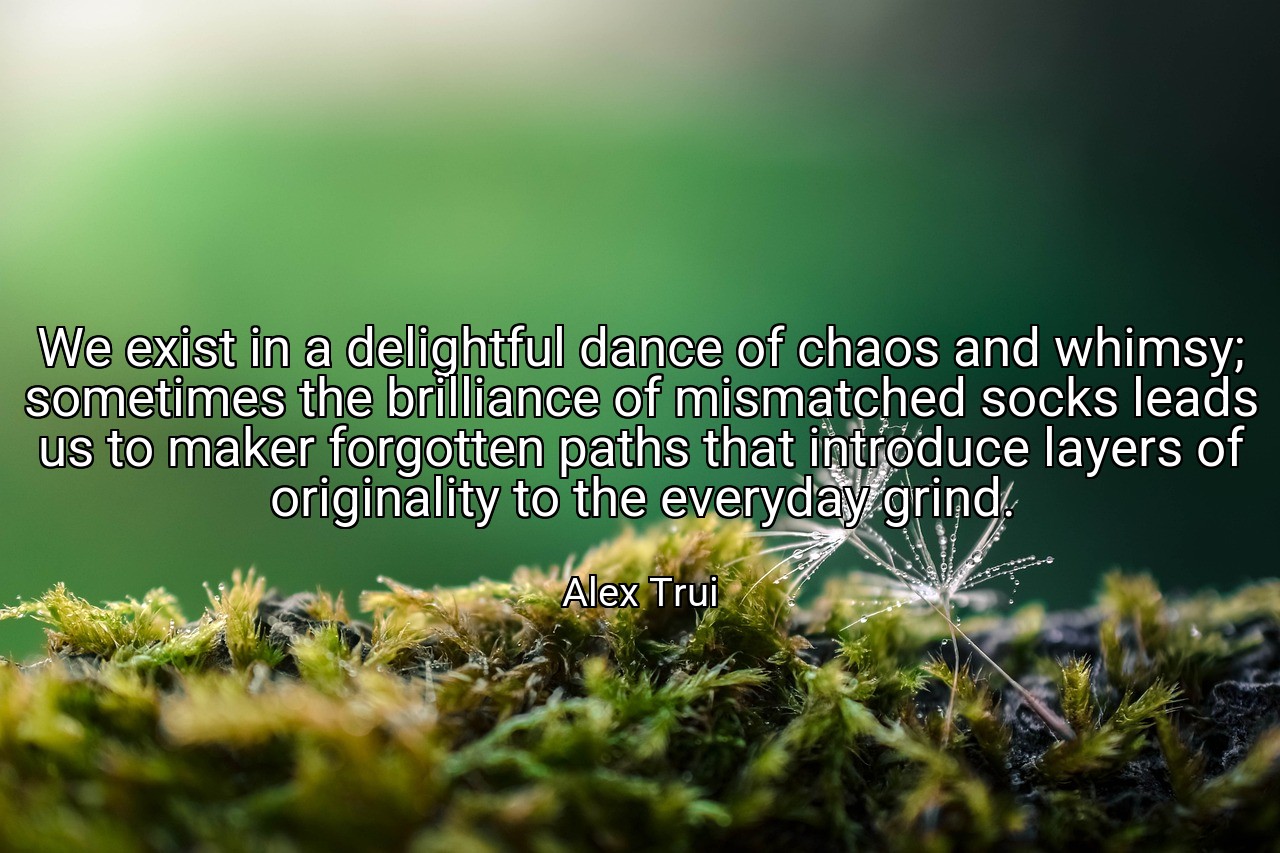 We exist in a delightful dance of chaos and whimsy; sometimes the brilliance of mismatched socks leads us to maker forgotten paths that introduce layers of originality to the everyday grind. - Alex Trui