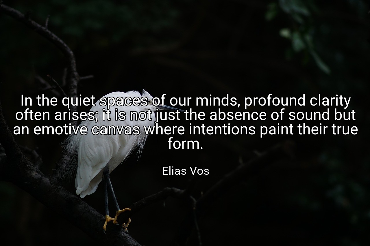 In the quiet spaces of our minds, profound clarity often arises; it is not just the absence of sound but an emotive canvas where intentions paint their true form. - Elias Vos