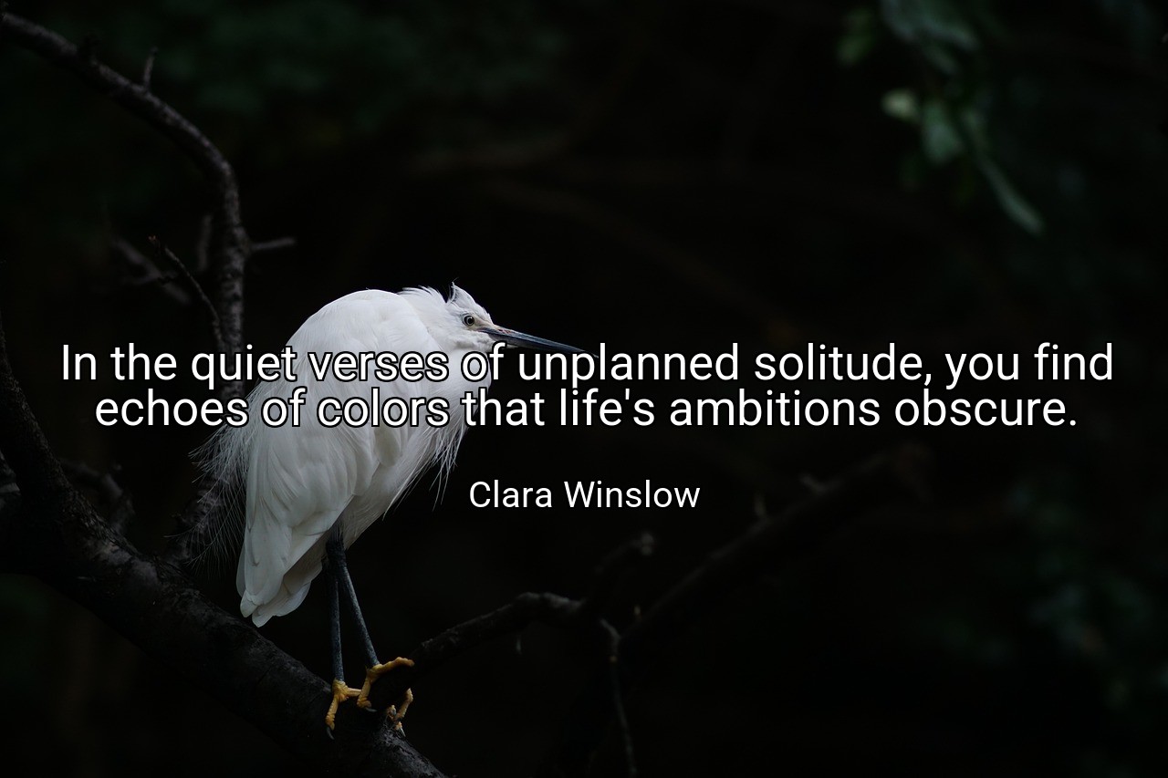 In the quiet verses of unplanned solitude, you find echoes of colors that life's ambitions obscure. - Clara Winslow
