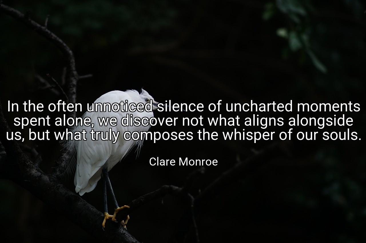 In the often unnoticed silence of uncharted moments spent alone, we discover not what aligns alongside us, but what truly composes the whisper of our souls. - Clare Monroe