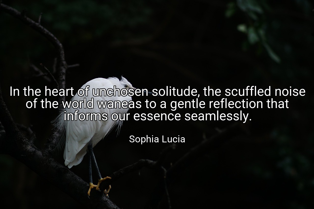 In the heart of unchosen solitude, the scuffled noise of the world waneas to a gentle reflection that informs our essence seamlessly. - Sophia Lucia