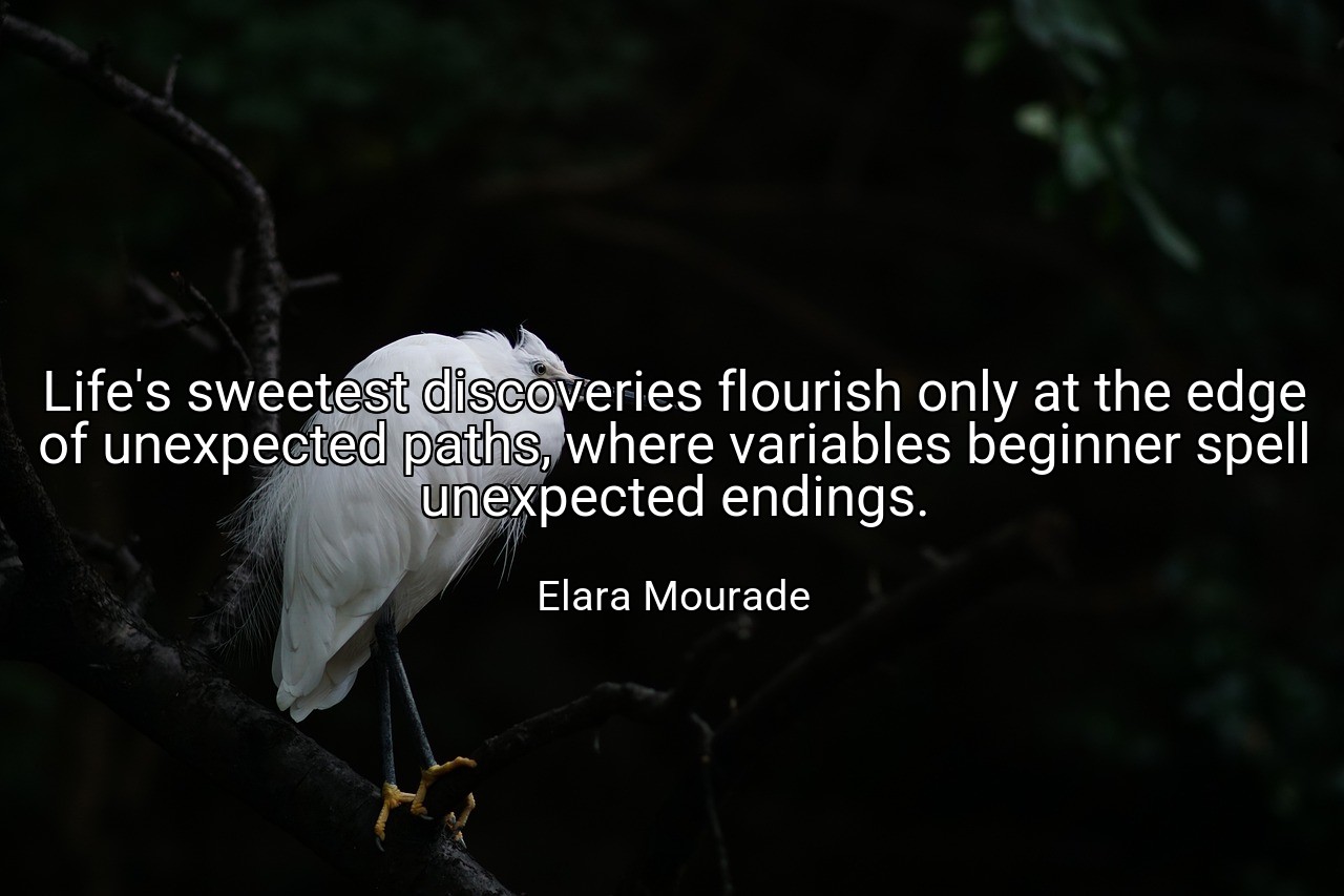 Life's sweetest discoveries flourish only at the edge of unexpected paths, where variables beginner spell unexpected endings. - Elara Mourade