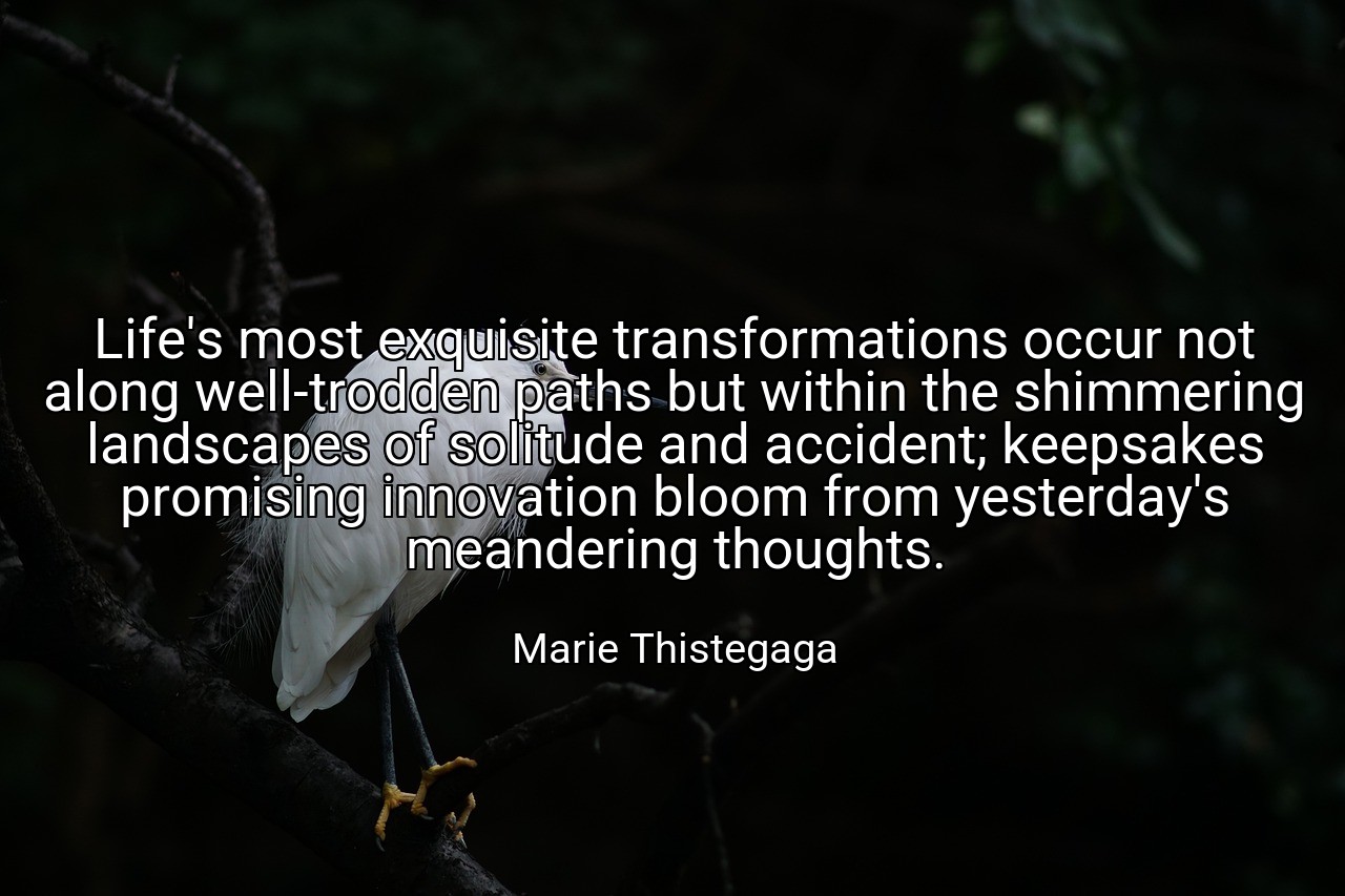 Life's most exquisite transformations occur not along well-trodden paths but within the shimmering landscapes of solitude and accident; keepsakes promising innovation bloom from yesterday's meandering thoughts. - Marie Thistegaga