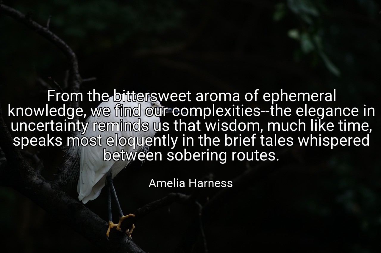 From the bittersweet aroma of ephemeral knowledge, we find our complexities--the elegance in uncertainty reminds us that wisdom, much like time, speaks most eloquently in the brief tales whispered between sobering routes. - Amelia Harness