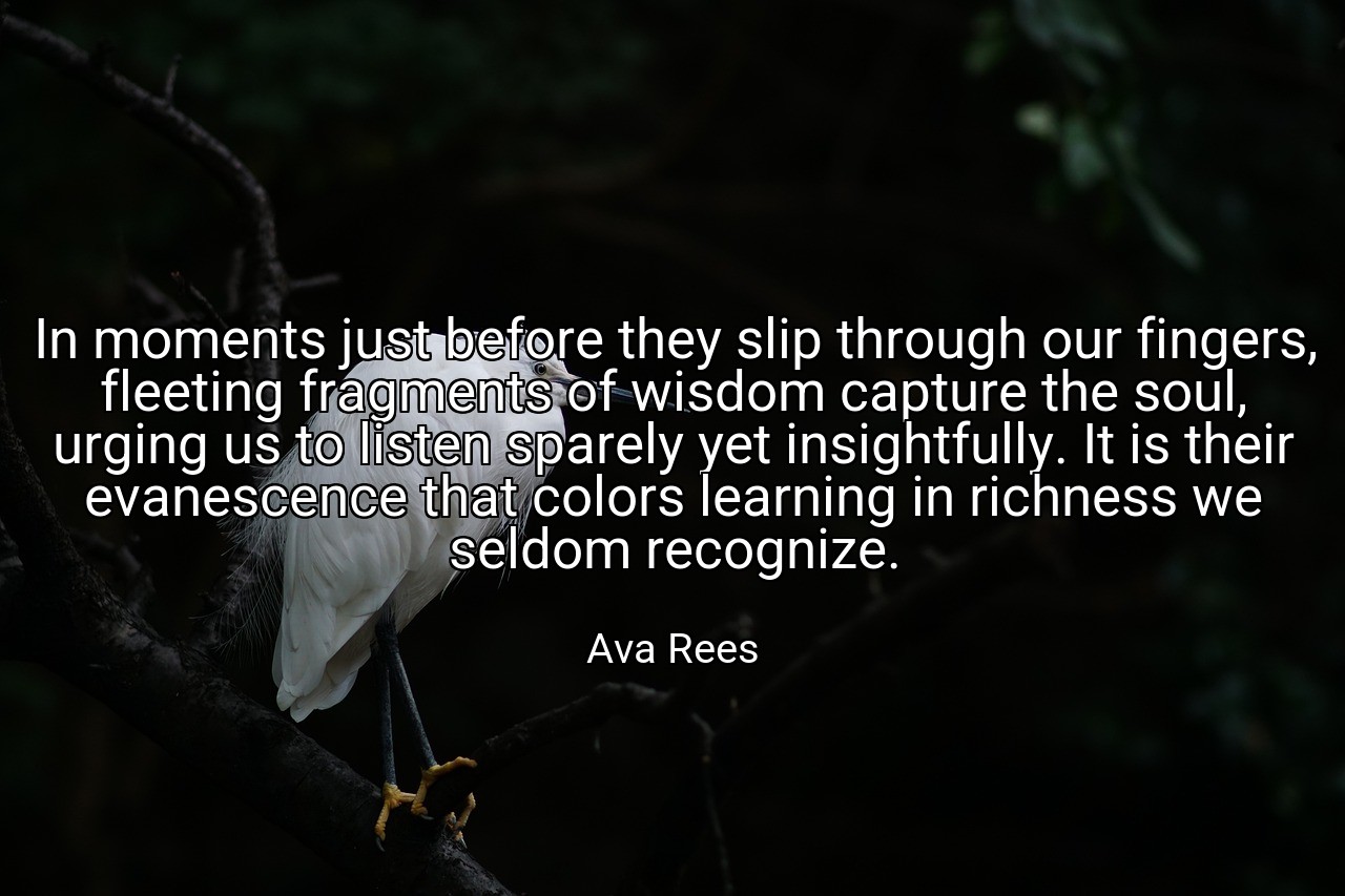 In moments just before they slip through our fingers, fleeting fragments of wisdom capture the soul, urging us to listen sparely yet insightfully. It is their evanescence that colors learning in richness we seldom recognize. - Ava Rees