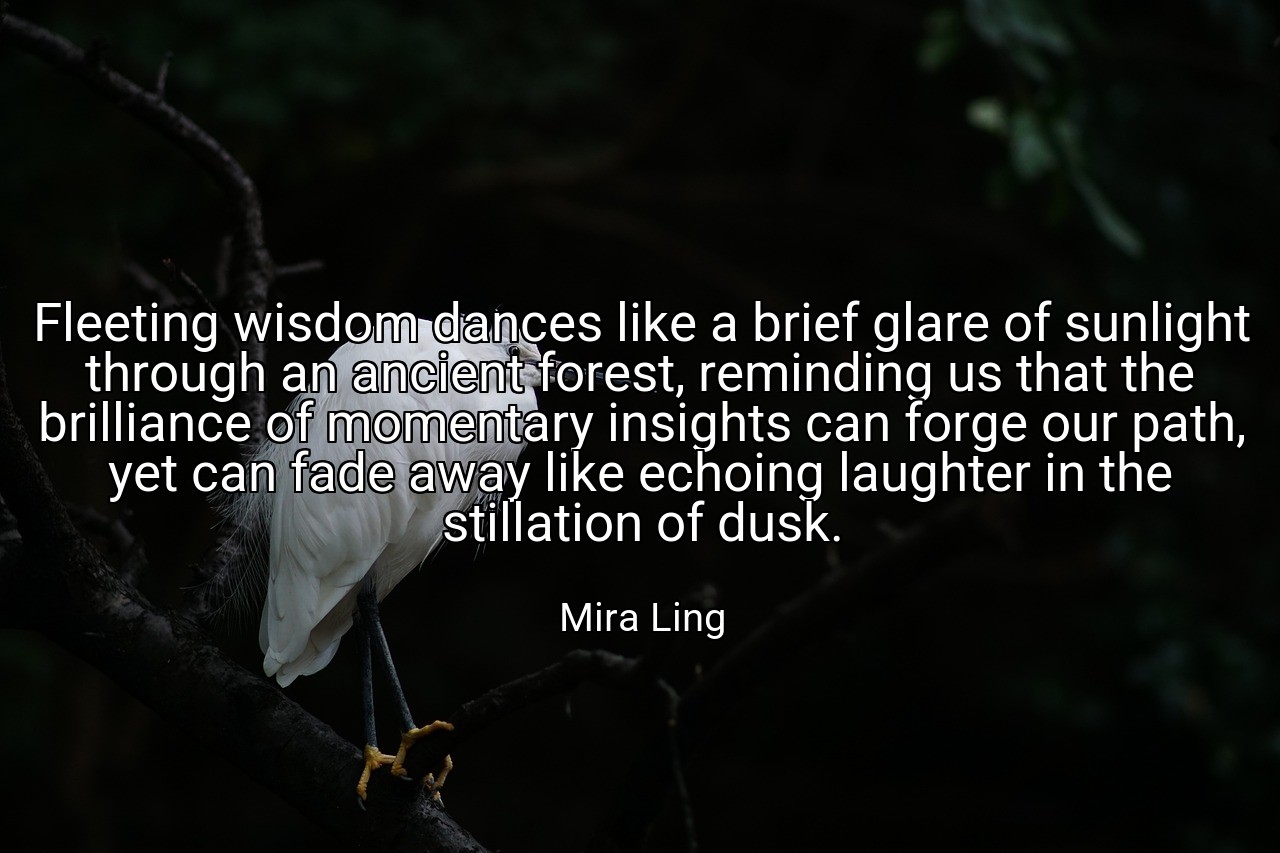 Fleeting wisdom dances like a brief glare of sunlight through an ancient forest, reminding us that the brilliance of momentary insights can forge our path, yet can fade away like echoing laughter in the stillation of dusk. - Mira Ling