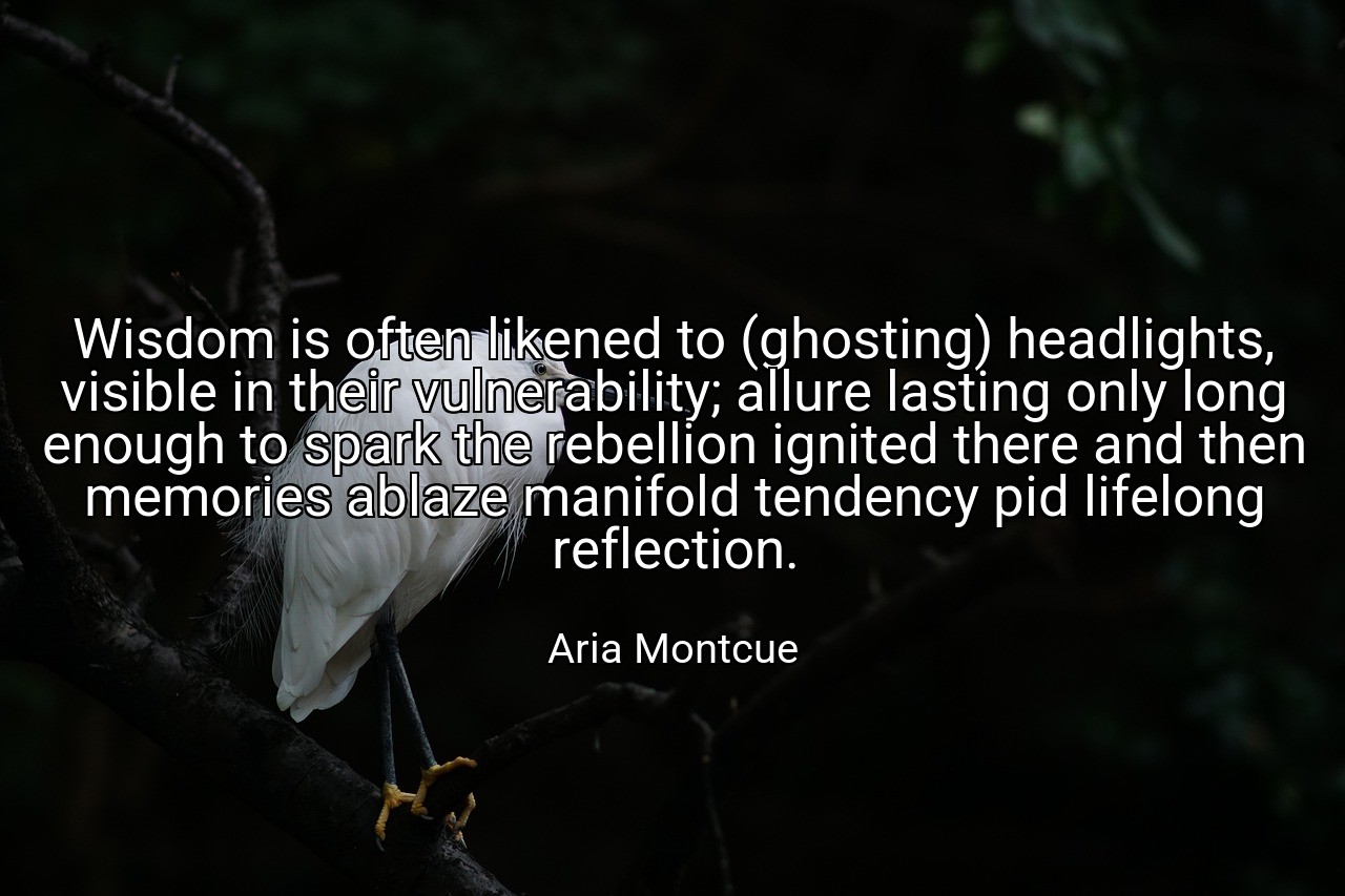 Wisdom is often likened to (ghosting) headlights, visible in their vulnerability; allure lasting only long enough to spark the rebellion ignited there and then memories ablaze manifold tendency pid lifelong reflection. - Aria Montcue