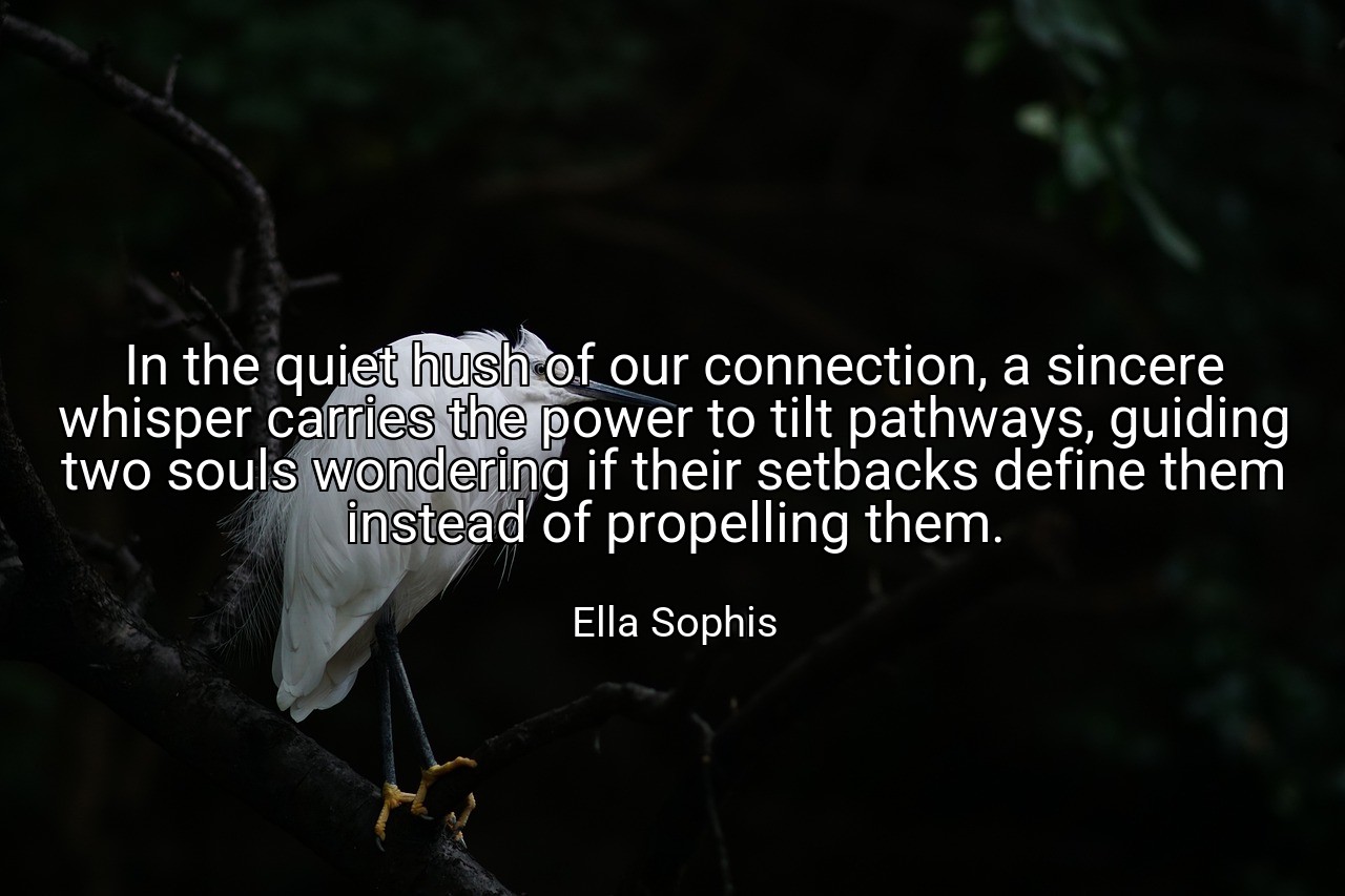 In the quiet hush of our connection, a sincere whisper carries the power to tilt pathways, guiding two souls wondering if their setbacks define them instead of propelling them. - Ella Sophis