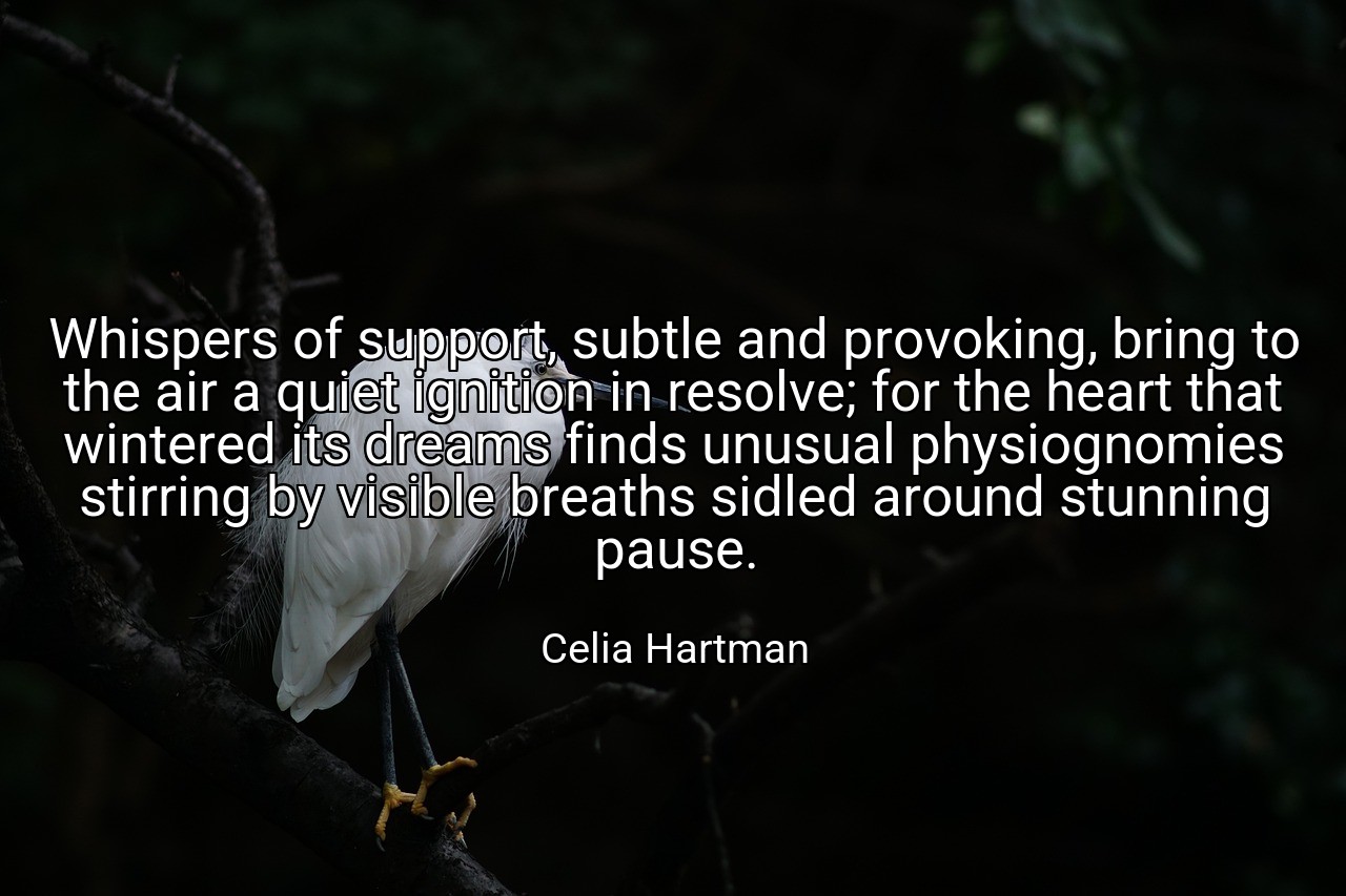 Whispers of support, subtle and provoking, bring to the air a quiet ignition in resolve; for the heart that wintered its dreams finds unusual physiognomies stirring by visible breaths sidled around stunning pause. - Celia Hartman