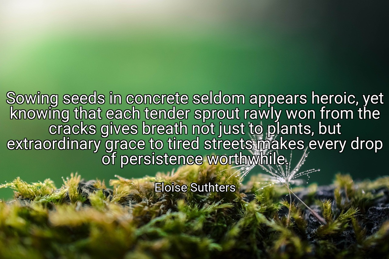 Sowing seeds in concrete seldom appears heroic, yet knowing that each tender sprout rawly won from the cracks gives breath not just to plants, but extraordinary grace to tired streets makes every drop of persistence worthwhile. - Eloise Suthters