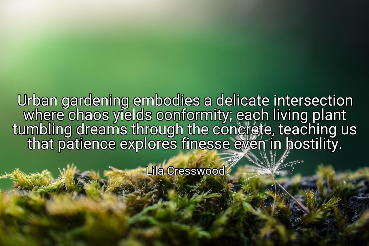 Urban gardening embodies a delicate intersection where chaos yields conformity; each living plant tumbling dreams through the concrete, teaching us that patience explores finesse even in hostility. - Lila Cresswood