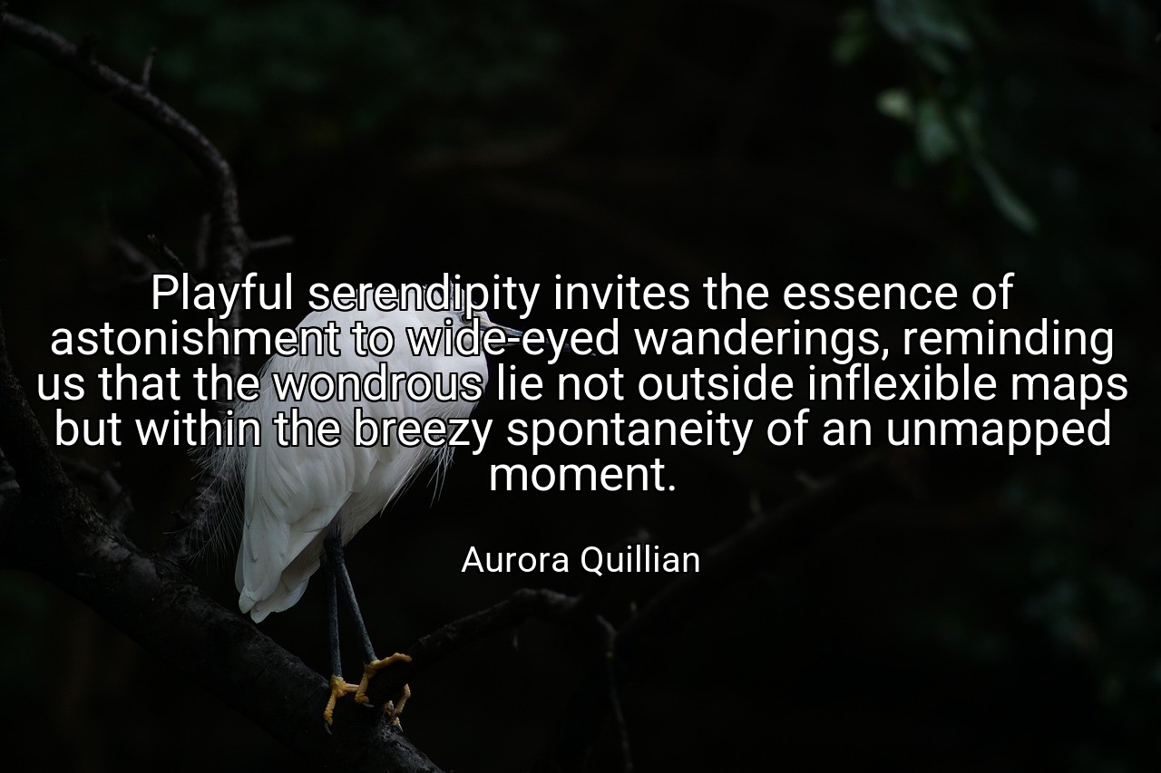 Playful serendipity invites the essence of astonishment to wide-eyed wanderings, reminding us that the wondrous lie not outside inflexible maps but within the breezy spontaneity of an unmapped moment. - Aurora Quillian